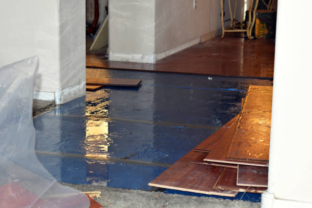 Professional Basement Flood Cleanup technician working in Jonesport, ME